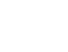 車